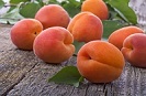 Fresh apricots are a taste treat when put in banana bread